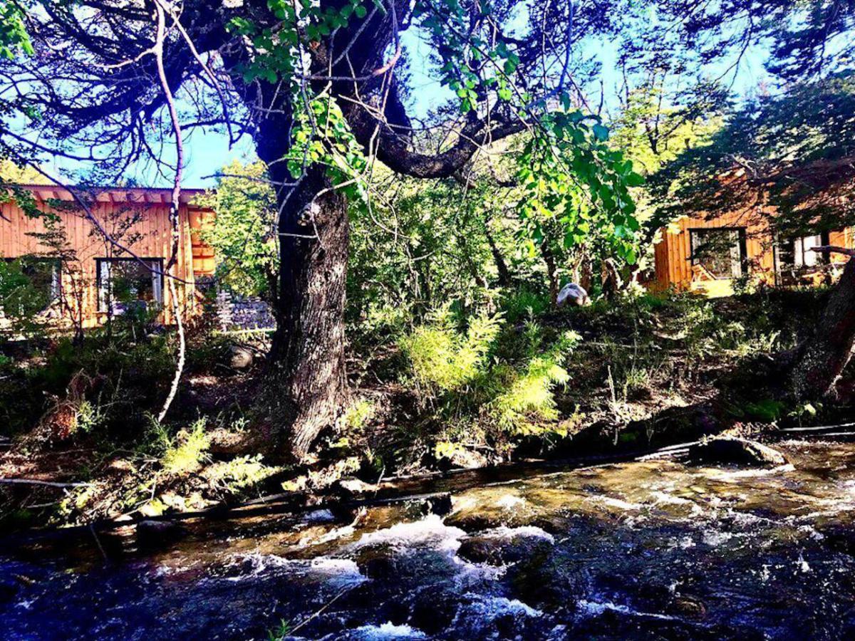 Kingfisher De Los Andes Villa Meliquina Buitenkant foto