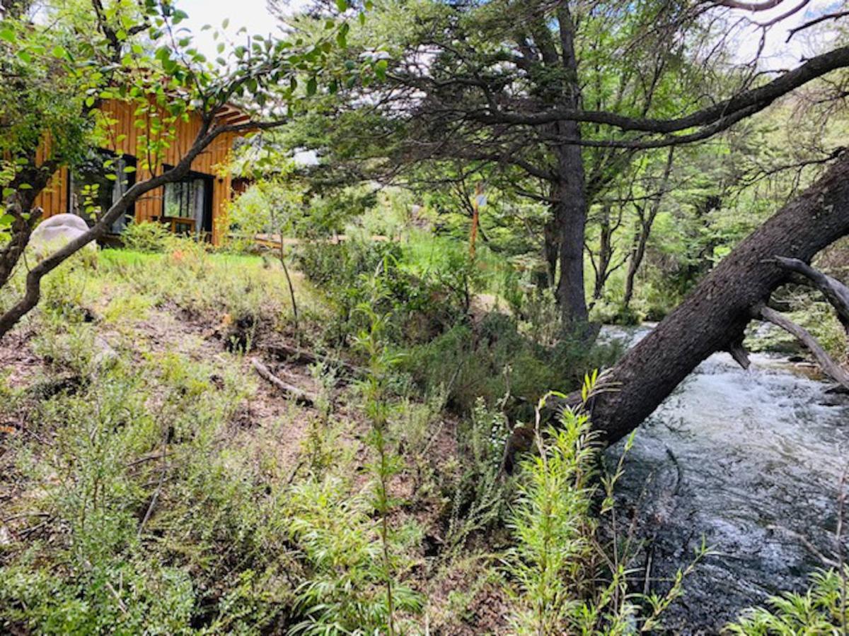 Kingfisher De Los Andes Villa Meliquina Buitenkant foto